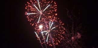 Argo Rollouts celebrates “biggest release ever”, Events and Workflows throw in usability improvements