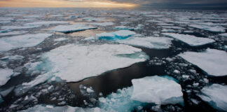 Cloud native ecosystem in danger of melting, Kubecon audience warned