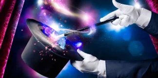 Preserving the magic of free: new types of licenses will not solve open source business model, says Percona founder