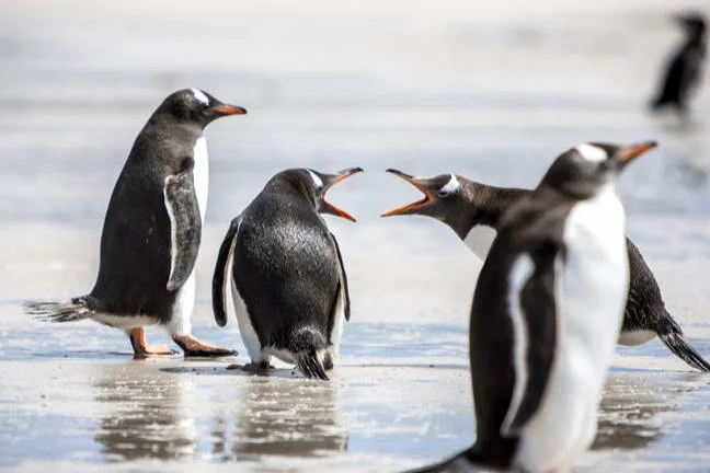 Microsoft defends .NET 9’s fresh feature against accusations of disrupting open source ecosystem Microsoft defends .NET 9’s fresh feature against accusations of disrupting open source ecosystem